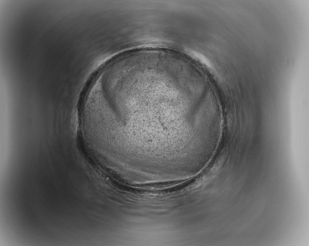 X0000094781267200711301539