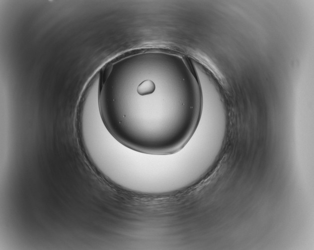 X0000094781268200711301539