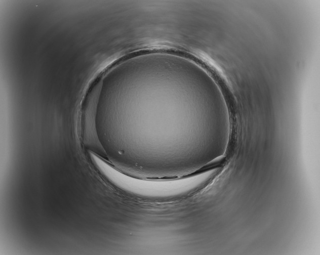 X0000094781269200711301539