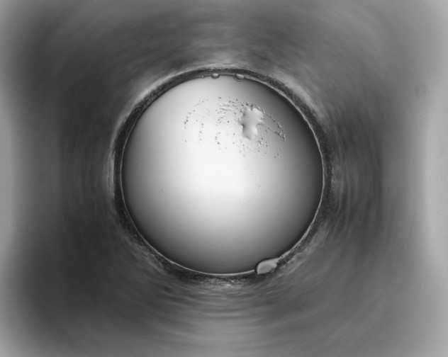 X0000094781270200711301539