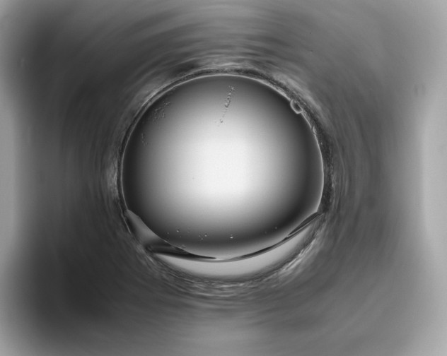 X0000094781273200711301539