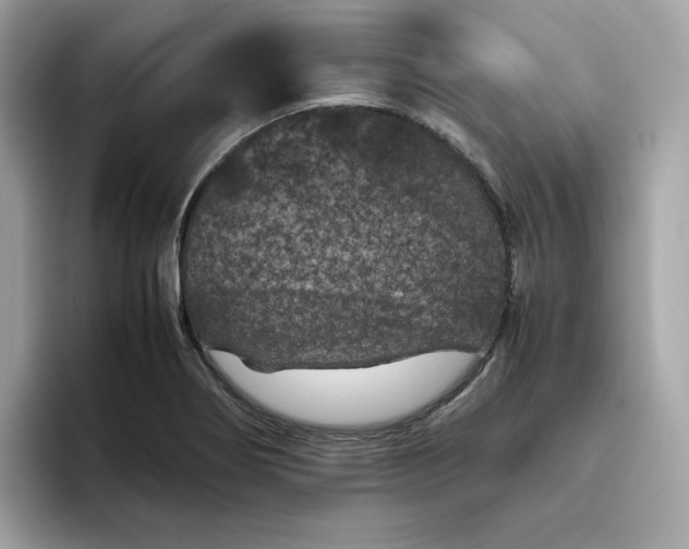 X0000094781274200711301539
