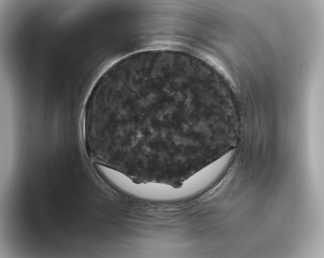 X0000094781275200711301539
