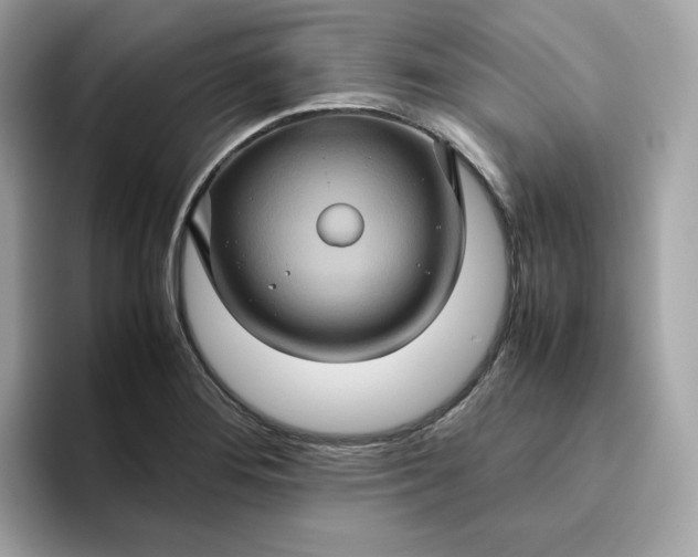 X0000094781276200711301539