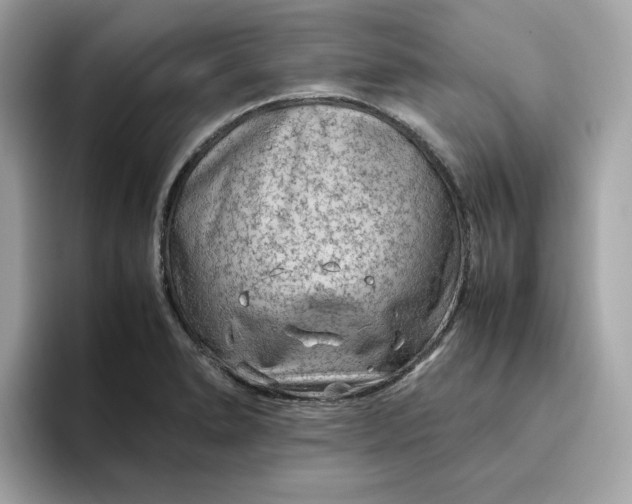 X0000094781278200711301539