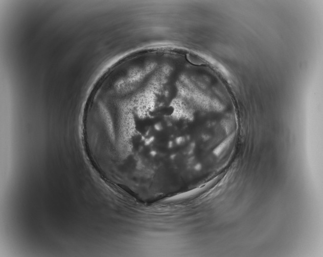 X0000094781279200711301539