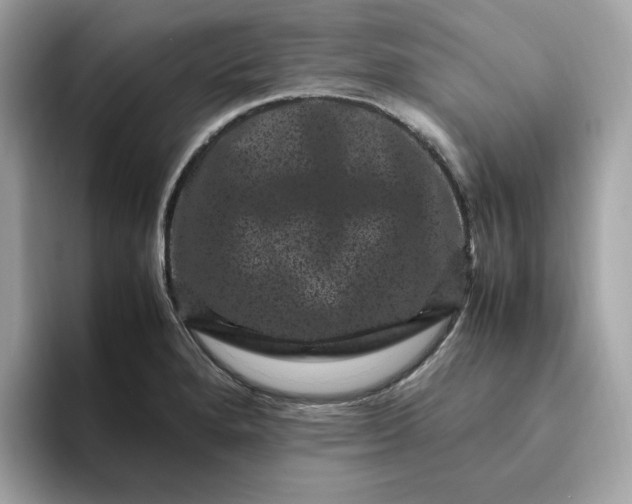 X0000094781280200711301539