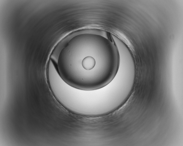 X0000094781284200711301539