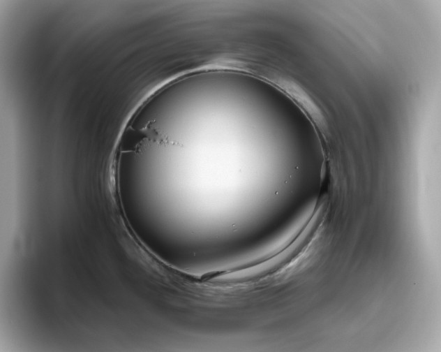 X0000094781292200711301538