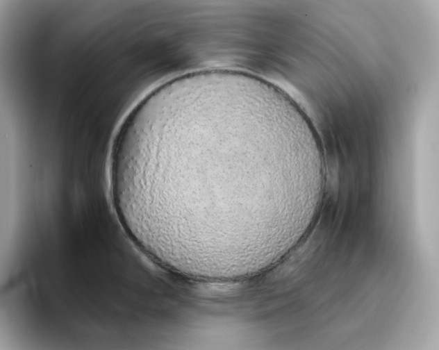 X0000094781294200711301538