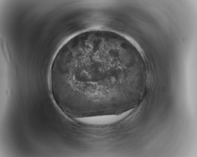 X0000094781295200711301538