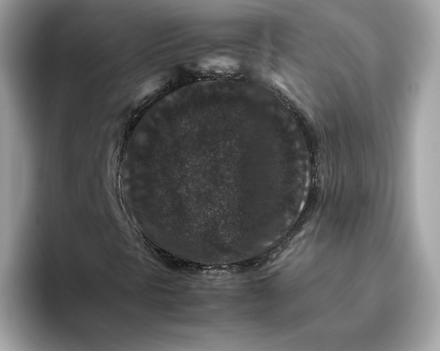 X0000094781297200711301538