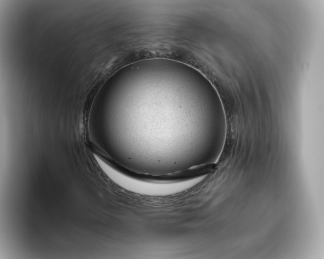 X0000094781298200711301538