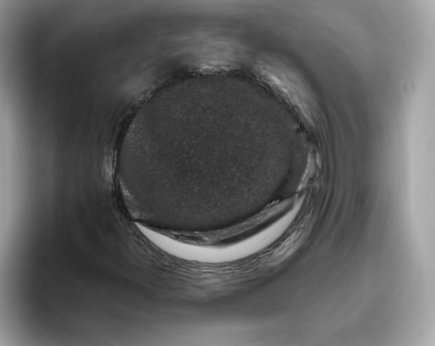 X0000094781300200711301538