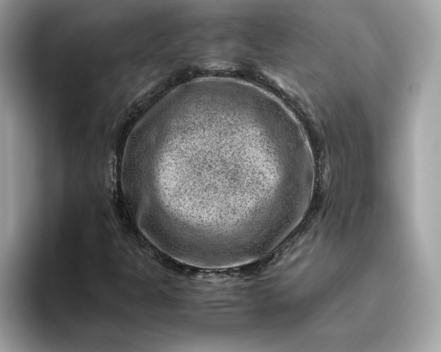 X0000094781301200711301538
