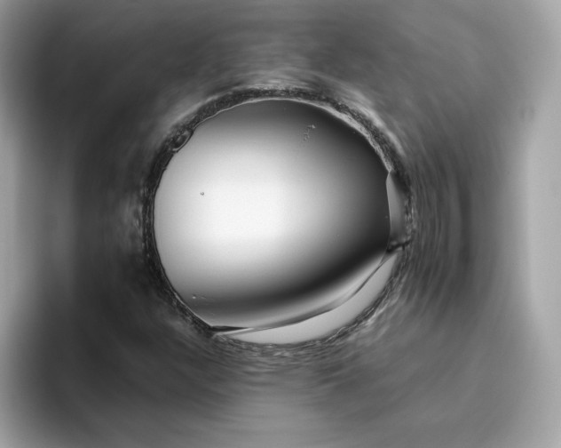 X0000094781304200711301538