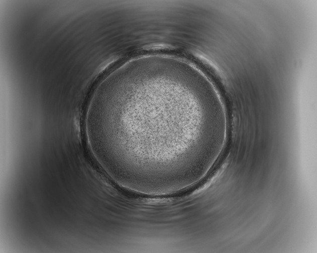 X0000094781305200711301538