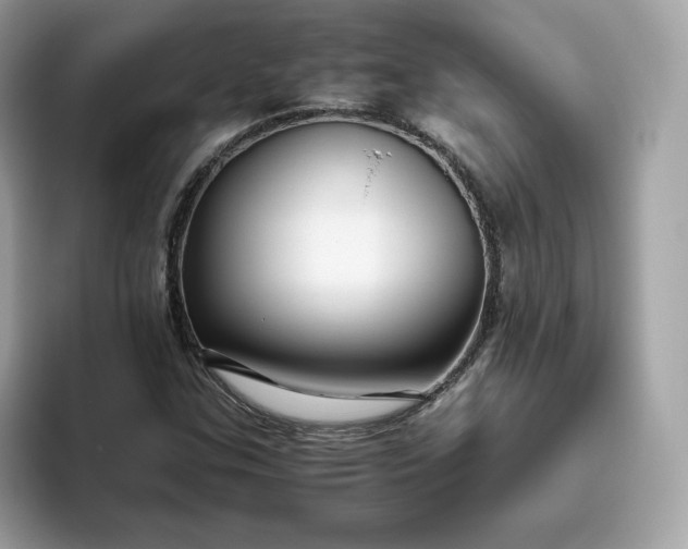 X0000094781307200711301538