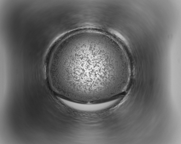 X0000094781310200711301538