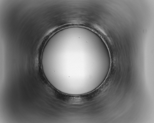 X0000094781315200711301538