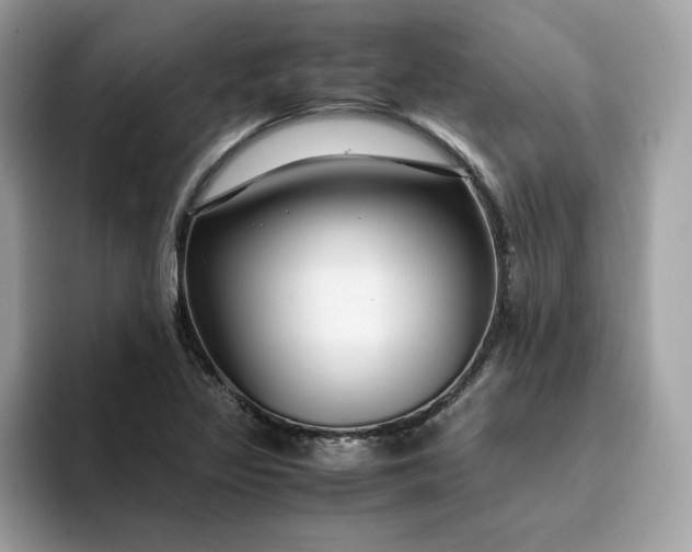 X0000094781317200711301538