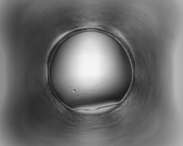 X0000094781320200711301538