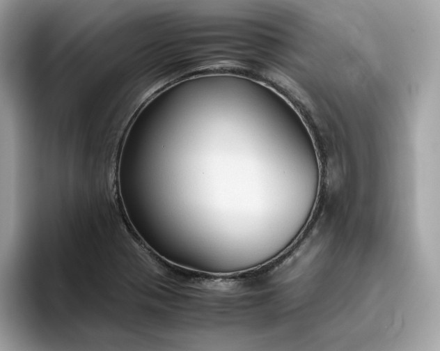 X0000094781321200711301538