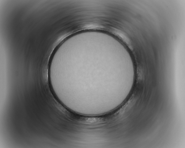 X0000094781322200711301538