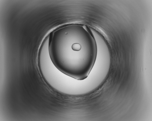 X0000094781324200711301538
