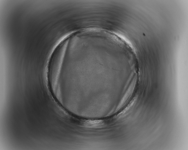 X0000094781325200711301538