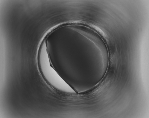 X0000094781327200711301538
