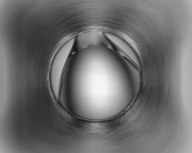 X0000094781330200711301538