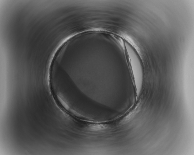X0000094781331200711301538