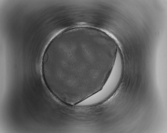 X0000094781333200711301538