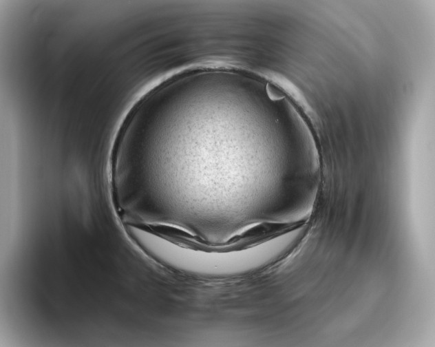 X0000094781335200711301538