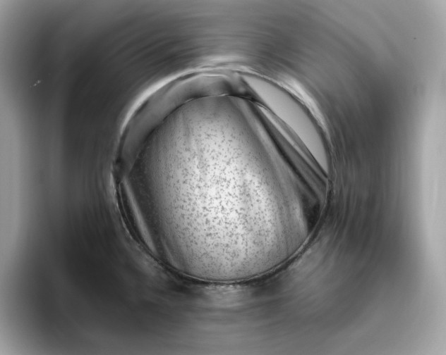 X0000094781336200711301538