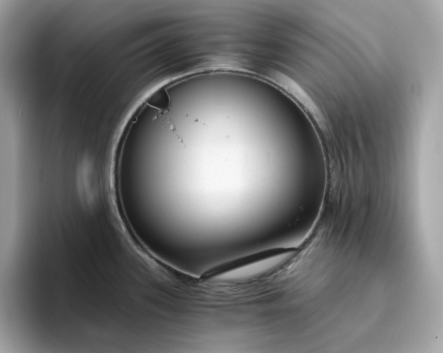 X0000094781339200711301538