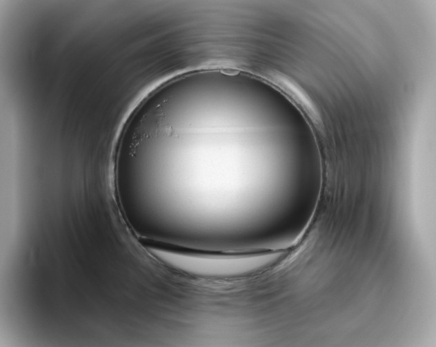 X0000094781340200711301538