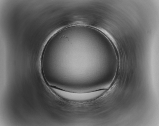 X0000094781341200711301538