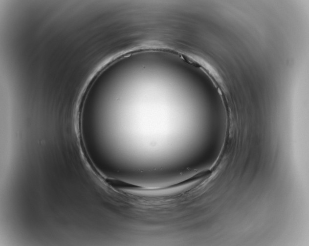 X0000094781342200711301538