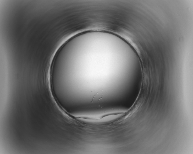 X0000094781343200711301538