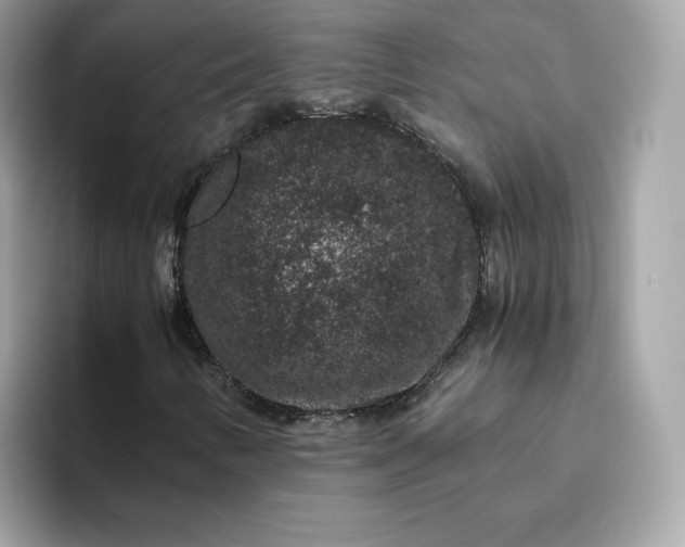 X0000094781346200711301538