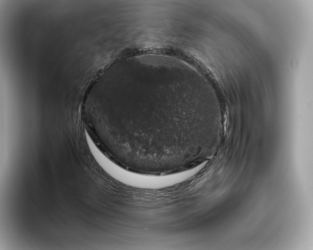 X0000094781348200711301538