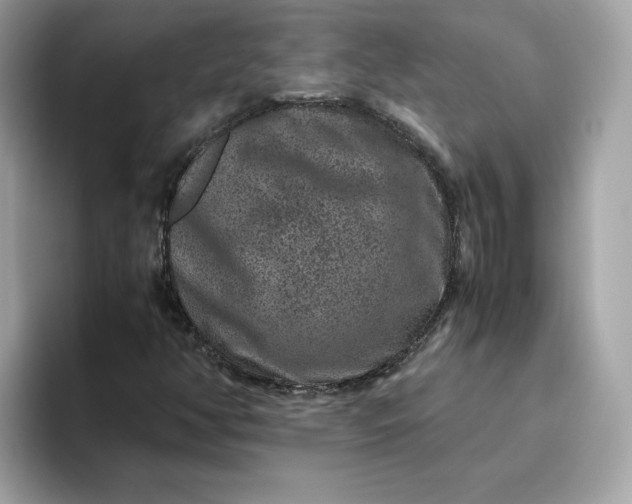 X0000094781350200711301538