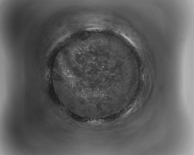 X0000094781351200711301538