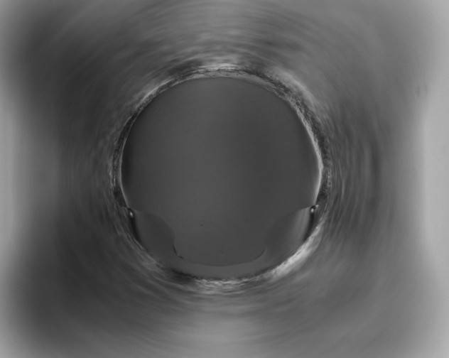 X0000094781353200711301538