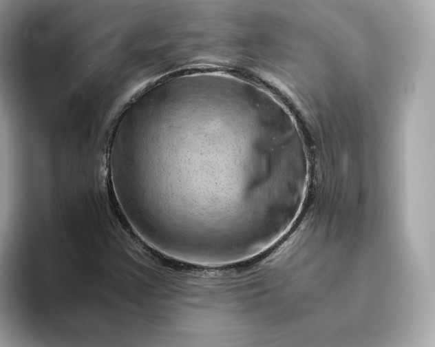 X0000094781355200711301538