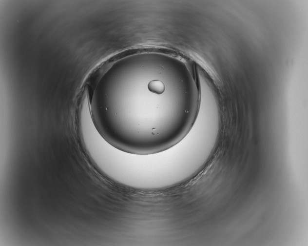 X0000094781356200711301538