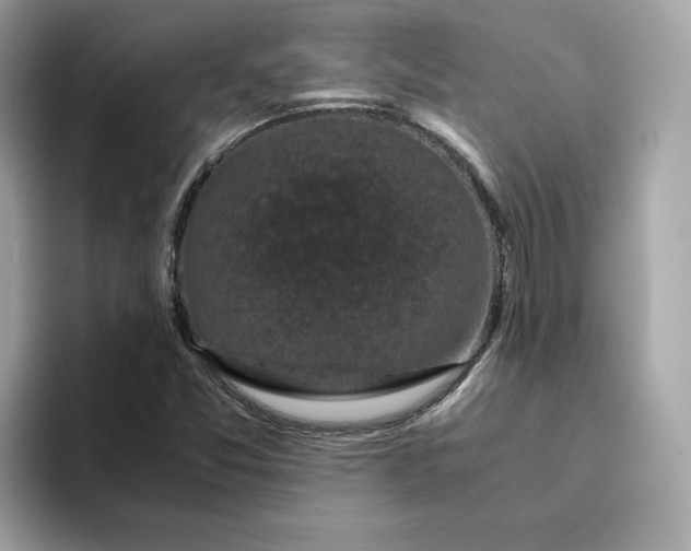 X0000094781357200711301538