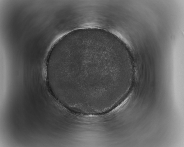 X0000094781358200711301538